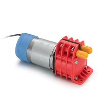 Pompe péristaltique micro-rotative électrique à moteur à balais 12 V CC la plus vendue, débit de 800 ml/min, sans huile, basse pression, pour eau propre