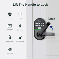 Liliwise Venta caliente Tamaño pequeño Ttlock Tuya Botón de bloqueo inteligente Palanca Código Huella digital Cerradura de puerta inteligente a prueba de agua