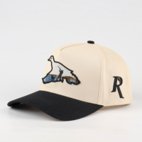Groothandel Hoge Kwaliteit Gestructureerde 5-Panelige Tweekleurige Beige Zwarte 100% Katoenen Op Maat Geborduurde Logo Snapback Caps Baseball Petten