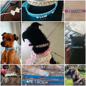 Tùy Chỉnh Con Chó Mèo Cổ Áo Cá Nhân Tên Thư Rhinestone Con Chó Con Nhỏ Có Thể Điều Chỉnh Vòng Cổ Charms Cho <span class=keywords><strong>Chihuahua</strong></span> Yorkshire - Product Image 6