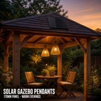Panneau solaire en époxy 5W 10W, étanche IP65, 6V 18V, forme personnalisée, module solaire en résine, fournisseur chinois