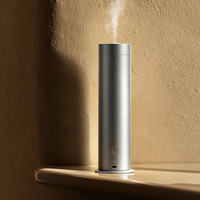 Diffuseur d'arômes sans eau en métal à double commande avec minuterie, pulvérisation USB 100ml, application mobile, silencieux, CE FCC, pour maison, hôtel, bureau - Grande Vente