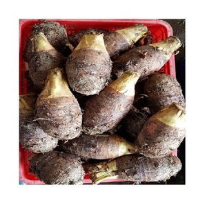 Chips de Taro Surgelées de Haute Qualité, Légumes Frais Séchés et Frits à Congélation Rapide (LQF), Certifiés, Incluant les Tiges, Origine Vietnam, Qualité Supérieure - Product Image 1