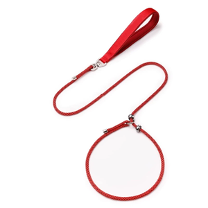 Raffy Pet Supplies Durable No-Pull Dog Training Slip Lead Heavy Duty Nylon Algodón Poliéster Custom Luxury Dog Training Leash - Product Image 5