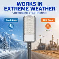 Lampe de cour extérieure haute puissance, étanche IP66, en aluminium, 50W 100W 150W 200W 300W 3030 SMD LED, éclairage de rue