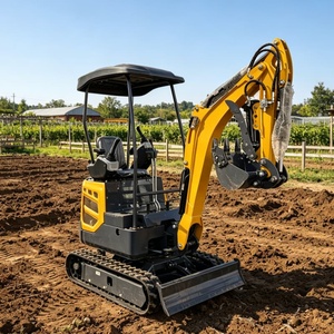 Mini Excavadora de 1.6 Toneladas con Motor EPA, Nueva, para Granja, con Ruedas, de Alto Rendimiento, Envío Gratis - Product Image 2