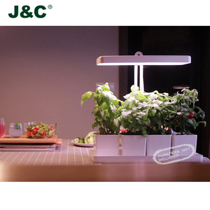 J & C Minigarden innendors <span class=keywords><strong>hage</strong></span> coperta giardino di erbe starter kit con la luce decorazione dell'interno verdura giardino - Product Image 6