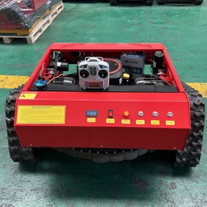 Cortadora de Césped Automática a Gasolina con Control Remoto, Mini, para Jardín y Hogar, <span class=keywords><strong>Precio</strong></span> Económico - Product Image 3