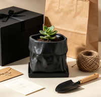 Pot de fleurs en céramique WabiSabi noir mat, fait main, irrégulier et incurvé, pour petites plantes vertes, décoration de table pour chambre et salon