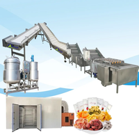 Gedehydrateerde Droge Vruchten Groenten Chips Dobbelstenen Drogen Machine Voor Het Maken Van Verwerking