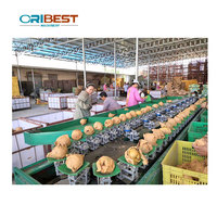 Hoge Precisie Mango Sorteren Machine Mango Fruit Sorteermachine