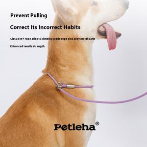 Integrierte kleine Hundeleine und umweltfreundliches klassisches Haustierhalsband mit festem Muster aus Polyester und Handleine - Product Image 1