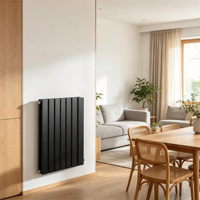 Radiateur convecteur mural en acier inoxydable, panneau chauffant à eau chaude pour chauffage central, fournisseur de radiateurs domestiques