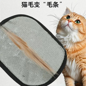 Gant anti-poils pour chat Friendship, brosse double face pour le toilettage des animaux, éliminateur de peluches - Product Image 1