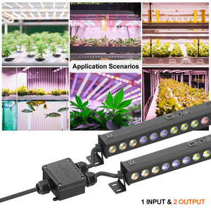 EW-M2068(L)-Y Thiết Bị Đầu Cuối IP68 Tích Hợp Cáp Nguồn Hộp Nối Chống Thấm Nước Hộp Nối Dây Hình Vuông - Product Image 6