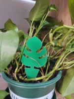 Pièges collants jetables en forme de feuille de Monstera, jaunes et noirs, solides et imperméables, puissants pour la lutte contre les fourmis et la protection du périmètre de la maison