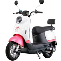 Nouveau design 2025 – Vélo électrique pour adulte 48 V, moto de loisirs rose, vélo à 2 roues pour femmes