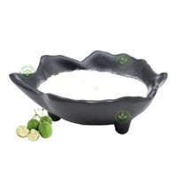 Fournisseur d'Extrait de Fruit du Moine Pur de Haute Qualité 100% Mogroside, Édulcorant