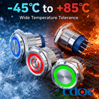 Interrupteur industriel métallique 19mm, momentané/verrouillable, 10A 250V, acier inox, IP68 étanche, LED symbole alimentation