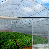 Film de serre en PE tissé transparent résistant aux UV, film de serre renforcé à haute résistance au vent pour l'agriculture