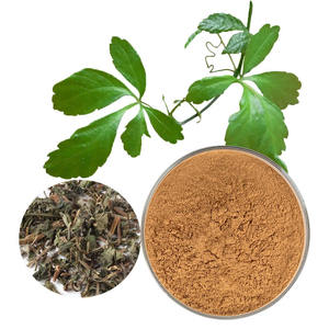 Высококачественный экстракт Jiao Gu Lan Gynostemma Pentaphyllum травяная пудра, дикие культивируемые гипенозиды, упакованные в бутылки - Product Image 3