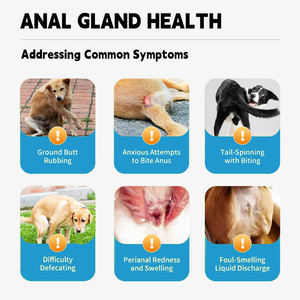 Vertrouwde Dierenarts Adviseerde Hoogwaardige Anale Klier Zachte Kauwtraktaties Voor Huisdieren Supplement Voor Spijsverteringsondersteuning - Product Image 4
