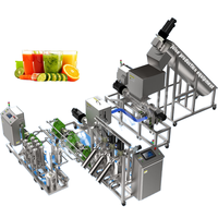 Multifunctionele voedselverwerkingslijnen, automatische op maat gemaakte lijnen voor het vullen en verwerken van tomatensaus, mangopulp en sap.
