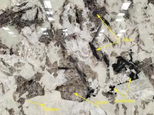 Le granit blanc <span class=keywords><strong>Orion</strong></span> à bon prix pour la décoration intérieure et extérieure - Product Image 4