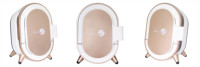 Analyseur de peau faciale 3D Scanner d'écran de 15.6 pouces Miroir magique AI Imageur intelligent Dispositif d'analyse de diagnostic facial