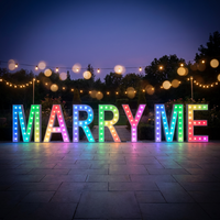 Lettres lumineuses LED 3D personnalisées MR&MRS MARRY ME RGB en acrylique, enseigne publicitaire, lettres lumineuses, étanches IP65 pour parc