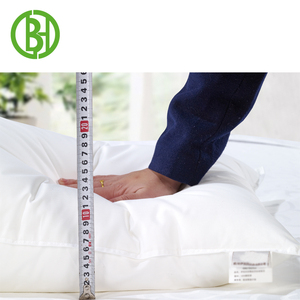 Poliéster lado cama almohada <span class=keywords><strong>microesferas</strong></span> lado durmiente Pro mejor pluma europea <span class=keywords><strong>de</strong></span> grupo llenar <span class=keywords><strong>almohadas</strong></span> tamaño para comprar - Product Image 4