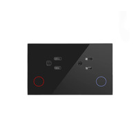 Prise murale intelligente Matter, norme américaine, double alimentation avec Wi-Fi, compatible Alexa, Google Assistant, maison intelligente, Homekit, ABS/verre/plastique