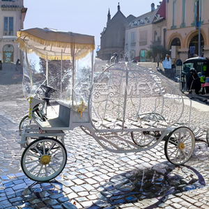 Cercueil électrique de luxe blanc classique et raffiné pour transport funéraire solennel - Transport spécial à vendre - Product Image 6