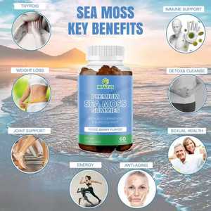 Gomitas de Musgo Irlandés, Alga Marina y Raíz de Bardana, Suplemento Herbal Orgánico Sin Gluten para Reforzar el Sistema Inmunológico y Aumentar la Energía (Venta al Por Mayor) - Product Image 4