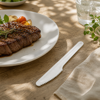 Couteau de table jetable en bagasse blanche robuste à bord dentelé, compostable, pour steak, viande et restauration
