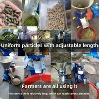 Nouvelle machine à granulés pour aliments animaux et poissons, usage agricole, prix usine, pour aliments de chèvres et poulets, avec moteur, en vente en Afrique du Sud