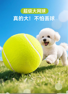 Juguete de tenis para mascotas de nivel 2 de estilo Simple, pelota de entrenamiento microelástica para gatos y perros, goma duradera, incluye todo lo necesario - Product Image 5