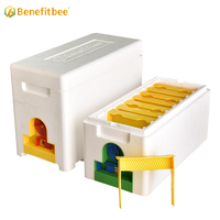 Kit de démarrage d'apiculture pour l'élevage de reines, avec boîte de reproduction et ruches en polystyrène à double mousse