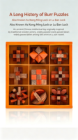 Jeu de société en bois de haute qualité : Casse-tête Kongming et Luban à démonter, jeu de puzzle complet avec boîte de rangement