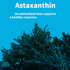 Achetez en gros des gélules d'astaxanthine et de CoQ10 de haute qualité avec de l'huile de tournesol, favorisant une circulation saine et une santé cognitive. - Product Image 6