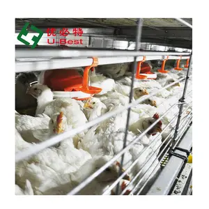 high quality modern H Type Intelligent automatic battery broiler chicken cage for poultry farm