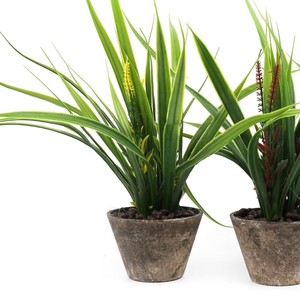 Plantas suculentas artificiales verdes <span class=keywords><strong>de</strong></span> estilos para la decoración del jardín del hogar <span class=keywords><strong>boda</strong></span> arreglo <span class=keywords><strong>de</strong></span> la pared <span class=keywords><strong>de</strong></span> plantas - Product Image 4