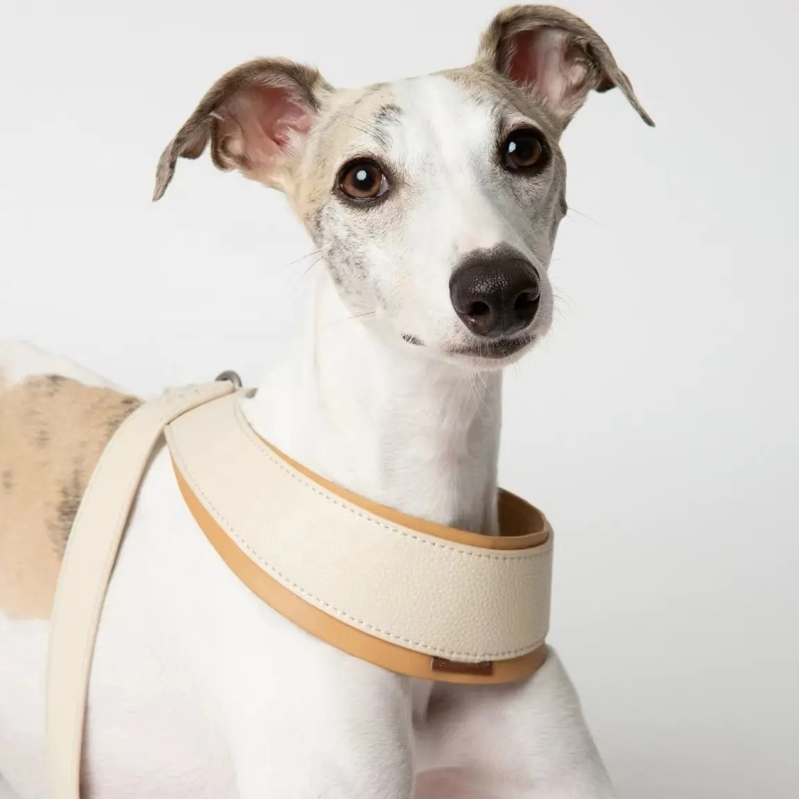 Verstelbaar Hondenharnas Voor Zwaar Gebruik Met Nepleren Vest Voor Huisdieren, Gemakkelijk Aan Te Zetten En Verbeterde Bedieningshendel