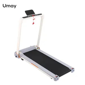Advanced Technology Easy Assembly Wear-resistant Electric Fitness Running Machine