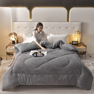 Mùa Đông Dày Ấm Áp Ánh Sáng Sang Trọng Hai Mặt Sữa Cừu Nhung Rắn Màu Chăn Lõi Bộ Đồ Giường - Product Image 2