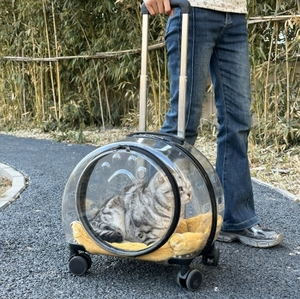 JXB Transporteur de voyage transparent pour animaux de compagnie, valise à roulettes portable pour petits chiens, étui de <span class=keywords><strong>transport</strong></span> durable pour animaux de compagnie, <span class=keywords><strong>chariot</strong></span> professionnel pour animaux de compagnie - Product Image 5