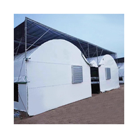 Serre avicole compacte et économique pour l'élevage de poulets avec film PE, isolation thermique, protection contre la pluie, montage facile
