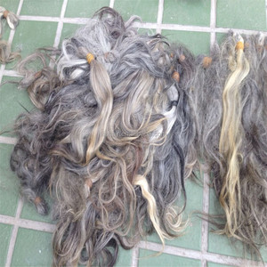 ผมของชายชราเป็นสีเทา - Product Image 6