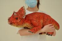 Marionnette de dinosaure Triceratops réaliste en silicone, contrôlée à la main, pour les fêtes intérieures en écoles publiques et maternelles