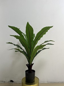 Hoja <span class=keywords><strong>de</strong></span> Asplenium Nidus <span class=keywords><strong>de</strong></span> Plástico <span class=keywords><strong>de</strong></span> Alta Calidad en Maceta para Decoración del Hogar, Bonsái Artificial, <span class=keywords><strong>Buxus</strong></span>, Vegetación <span class=keywords><strong>de</strong></span> Mesa, Helecho <span class=keywords><strong>de</strong></span> Seda Tipo Nido <span class=keywords><strong>de</strong></span> Pájaro - Product Image 3